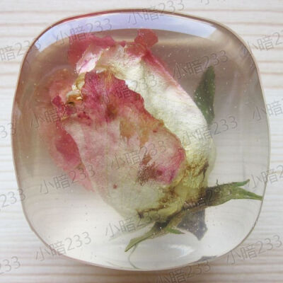 【手作】手工 干花 树脂 水晶滴胶 花朵 花草 标本 双色月季花苞