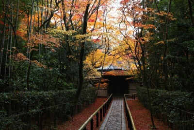 日本 京都 高桐院 B162