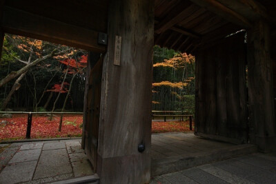 日本 京都 高桐院 B162