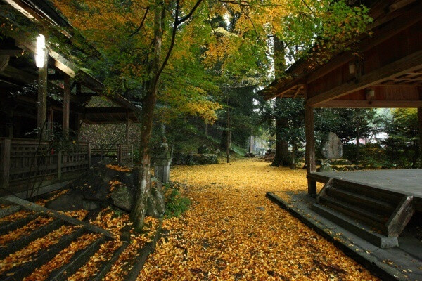 京都 岩戸落葉神社 日本 B162 风景