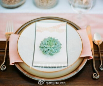 #婚礼布置#多肉植物在婚宴餐具上的创意布置灵感，这么清新自然的植物绝对让人惊艳难忘~