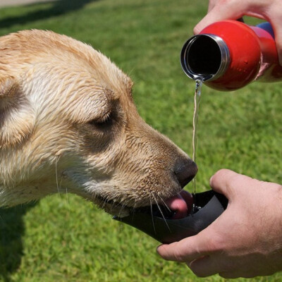 专门为狗狗设计的水瓶，在户外遛狗的时候，可以很容易和方便的解决它们口渴的问题。