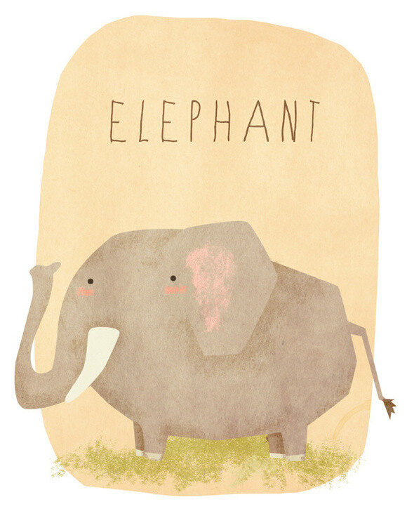 elephant