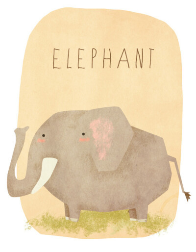 elephant