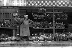 paris flower shop