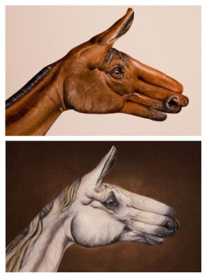 不可思议的超精致手绘画，超赞！（ 图by Guido Daniele）