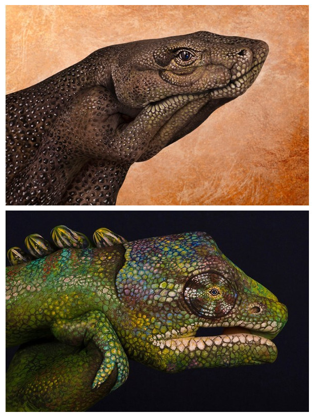 不可思议的超精致手绘画，超赞！（ 图by Guido Daniele）