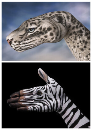 不可思议的超精致手绘画，超赞！（ 图by Guido Daniele）