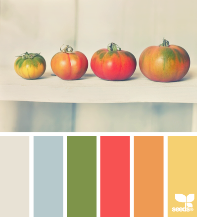 tomato tones 10.21.13 -鱼-