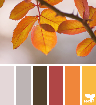 autumn palette 10.12.13 -鱼-