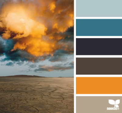 desert palette 10.09.13 -鱼-