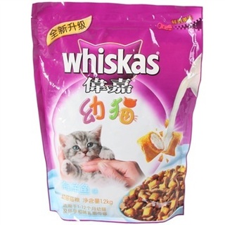 宠物猫 幼猫:奶猫领养 宠物猫出售 宠物猫加菲猫 宠物猫领养 折耳猫宠物 波斯猫宠物 流浪猫领养 猫领养便宜包邮