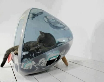 #cat house from an OLD MAC PC