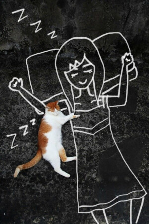 猫咪狂想曲（via：美好映画）