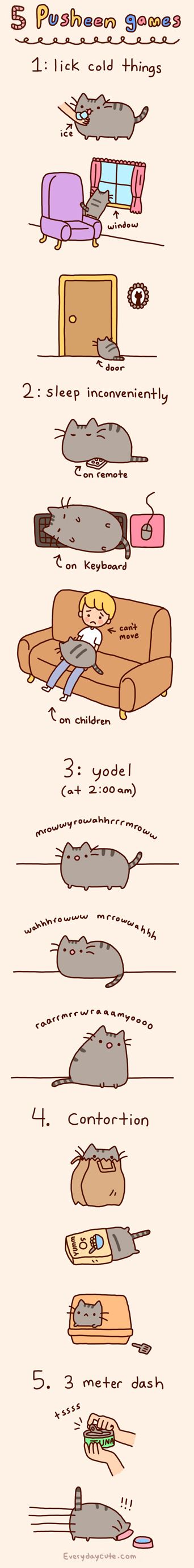 pusheen