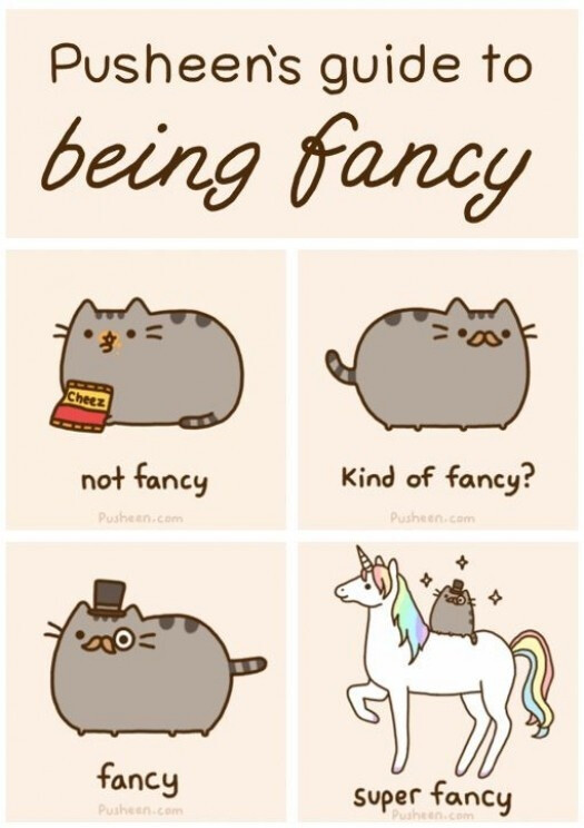 pusheen and being fancy