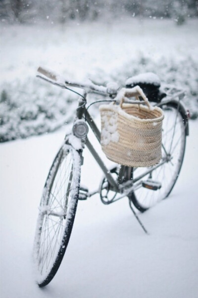 期待一场大雪，埋藏这个秋天我所有的记忆。