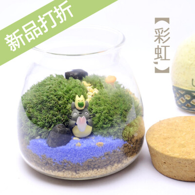 双11限时打折创意迷你植物苔藓微景观DIY龙猫生日礼品 天蝎座