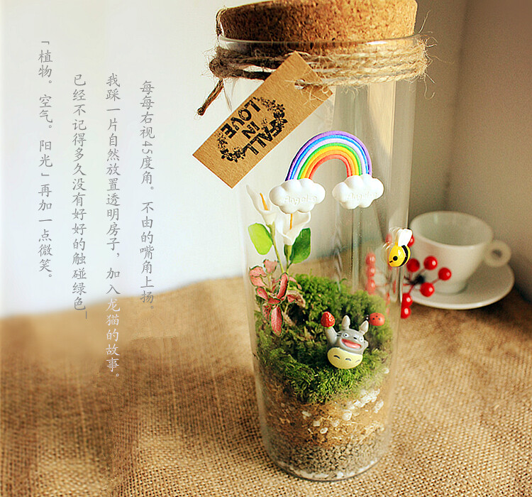 木叶家苔藓微景观苔藓生态瓶小盆栽创意生日闺蜜礼物品彩虹梦包邮