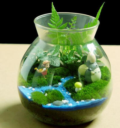苔藓小品 苔藓瓶(大瓶) 生态瓶 苔藓微景观 龙猫 微景观diy