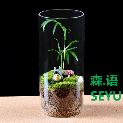 创意苔藓微景观苔藓生态瓶 创意盆栽 宫崎骏龙猫