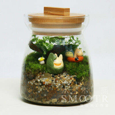 水木熙 主题生态瓶 苔藓微景观 创意礼品 创意罐装植物 龙猫