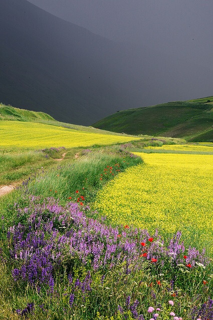 允許自己做最美的夢。(Italy by p.pacitti)