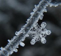 雪花