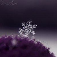 雪花