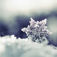 雪花