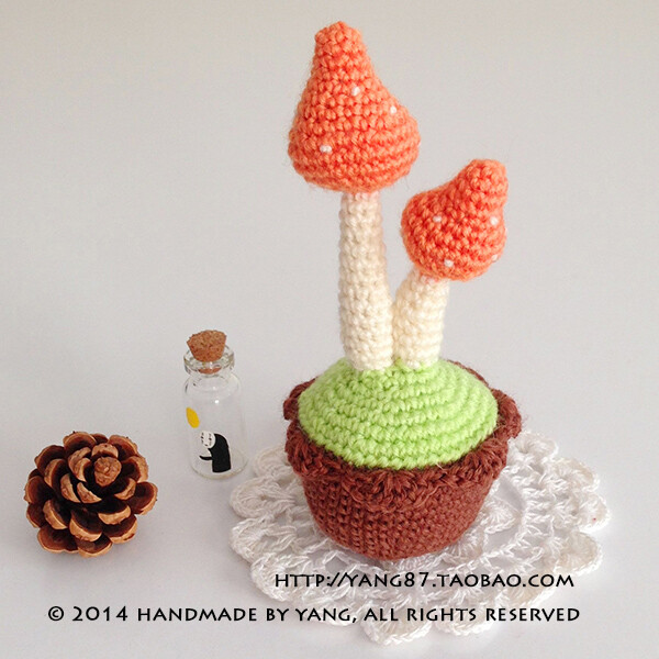 MINI蘑菇盆栽* 植物