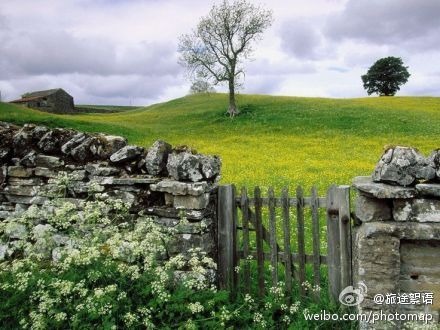 英国乡村景色，满眼的绿色， 童话般的乡村小舍。（转）