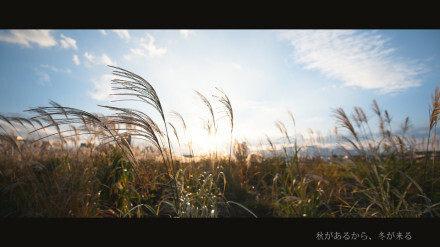 北海道，日本都道府县中唯一的道。 Photo by：birdkim