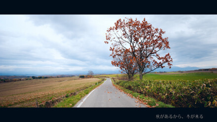 北海道，日本都道府县中唯一的道。 Photo by：birdkim