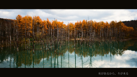 北海道，日本都道府县中唯一的道。 Photo by：birdkim