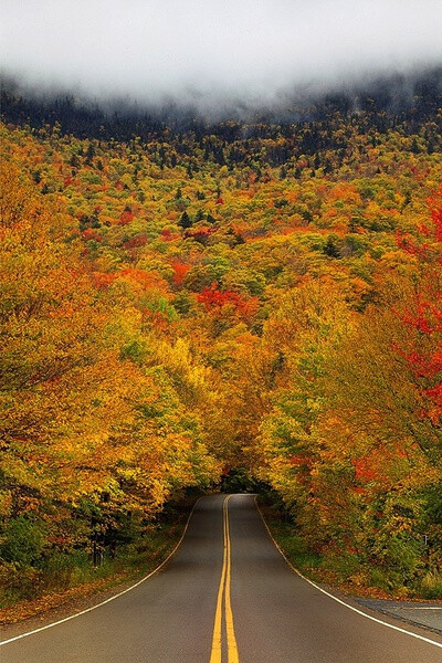 佛蒙特州秋日的树隧道。摄影：Kevin McNeal。
