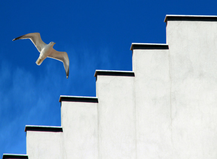 受到抽象画艺术家康丁斯基(kandinskij)的影响,拍下生活中的"形形色色