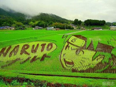 这绝对是火影忍者的脑残粉啊！