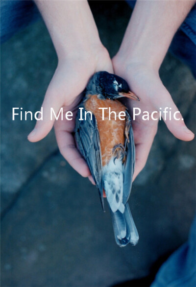 Find Me In The Pacific、Find Me In The Pacific、文字、夏天、欧美、安静