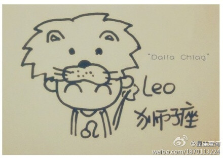 狮子座不会耍心机；狮子座讲义气够朋友；狮子座对待感情认真专一；狮子座最要面子，狮子座最重要的是尊严，狮子座很顾家；狮子座脾气不好但心地善良；狮子座喜欢逞强；狮子座害怕孤单；狮子座的优点不是外貌而是气质；狮子座很阳光又开朗；狮子座不凶很好相处……