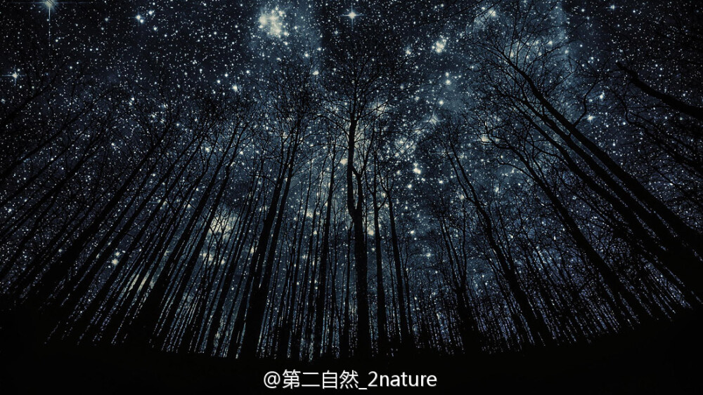 瑞士日内瓦的星夜