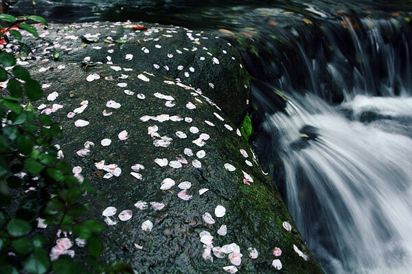 落花流水