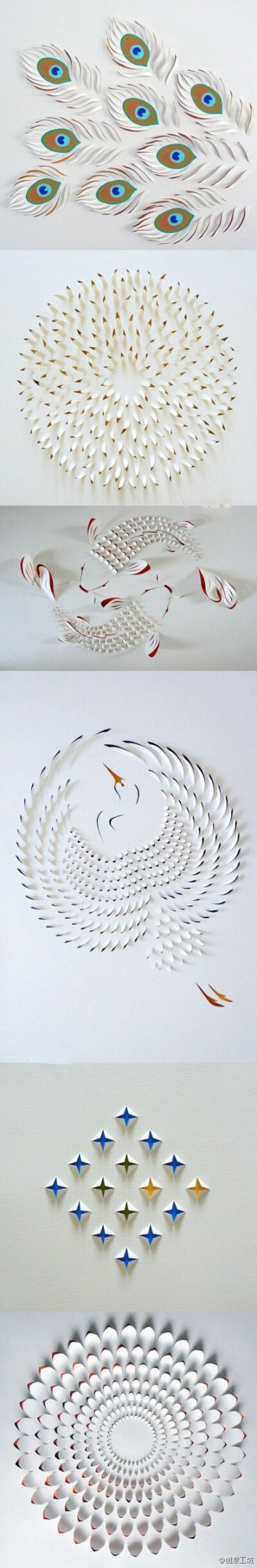澳大利亚艺术家Lisa Rodden的纸雕艺术，好美！