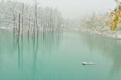 来自日本摄影师Kent Shiraishi。在天气和光线影响下，风景如画的池塘呈现出美丽的绿松石蓝和翠绿色。