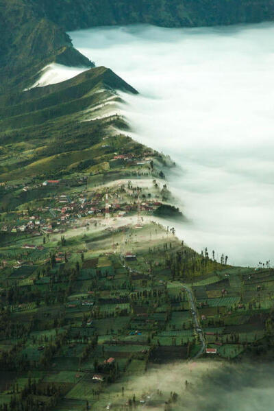 anotic: Near Bromo  |  Martin Neuhof