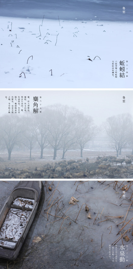 冬至三候：“蚯蚓結”，“麋角解”，“水泉動”