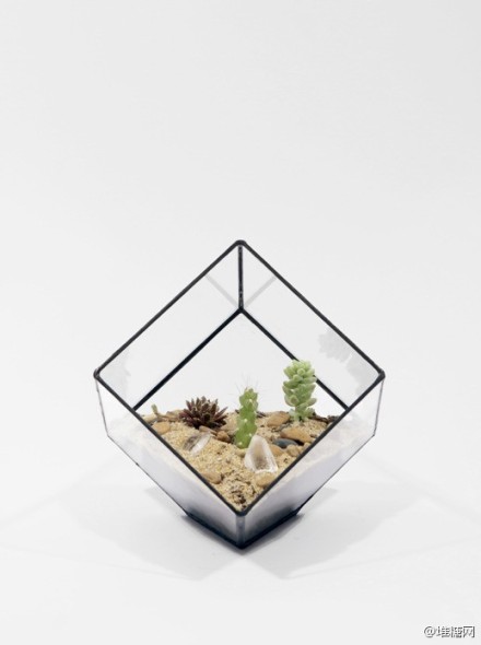 #创意#用手工玻璃和金属支架组合而成的钻石植物。详情→http://t.cn/8kzpoPq