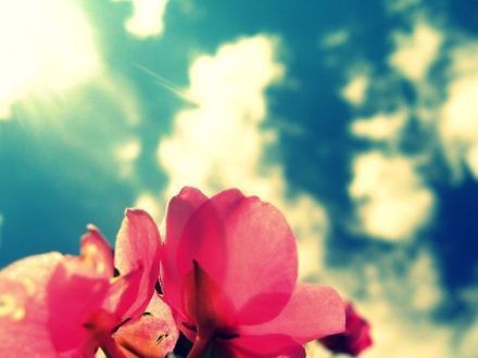 假如人生不曾相遇，我还是那个我，偶尔做做梦，然后，开始日复一日的奔波，淹没在这喧嚣的城市里。我不会了解，这个世界还有这样的一个你，只有你能让人回味，也只有你会让我心醉。假如人生不曾相遇，我不会相信，有一种人可以百看不厌，有一种人一认识就觉得温馨。