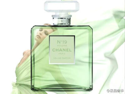 Chanel No. 19，象征着勇敢的传奇数字。花香调——木香调——草香调，白色与绿色花朵的谐和表情，含有橙香油、白松香、五月玫瑰、鸢尾草、水仙花、香根草、西洋杉、愈苍木等多重花草。结合了轻盈的活泼与典雅的世故…