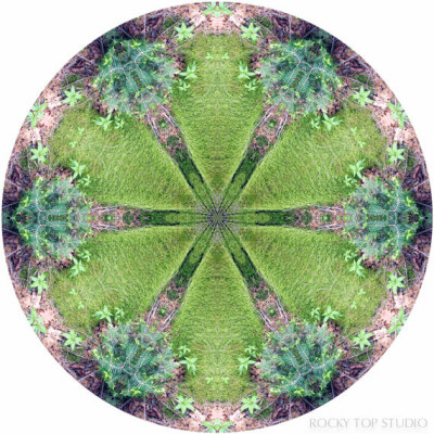 Mandala Art, Meditation Art, Peaceful Geometric Art Print, Nature Inspired Abstract Art Print in Chartreuse Green, 8x8 10x10 12x12 or 16x16